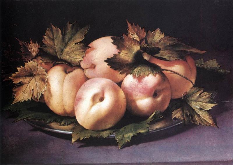 FIGINO, Giovanni Ambrogio Still-life with Peaches and Fig-leaves fdg oil painting image